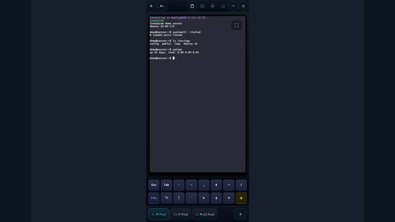 TermiGram Showcase 2